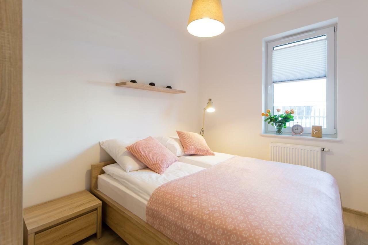 Apartament Rose コウォブジェク エクステリア 写真